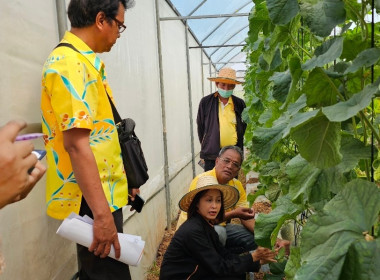 วันที่ 5 กุมภาพันธ์ 2567 ... พารามิเตอร์รูปภาพ 2